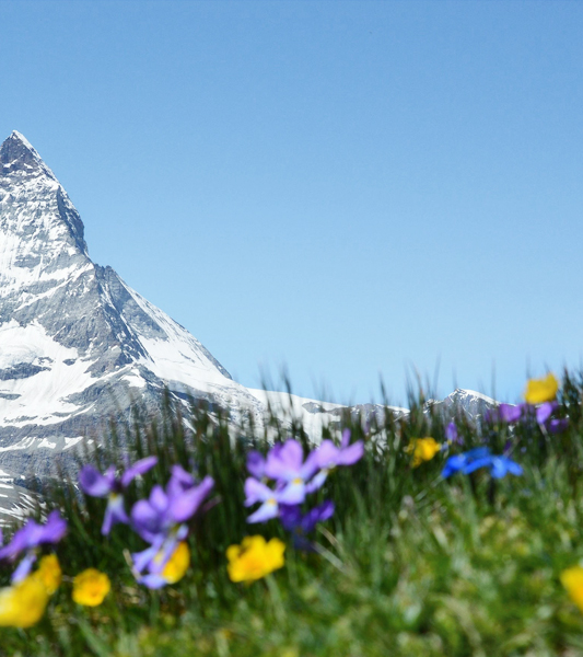 南昌市兴赣科技实业有限公司